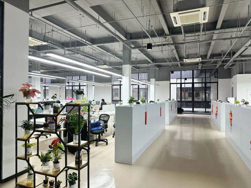 優(yōu)化營(yíng)商環(huán)境丨人勤春來(lái)早,楊浦營(yíng)商環(huán)境暖意融融